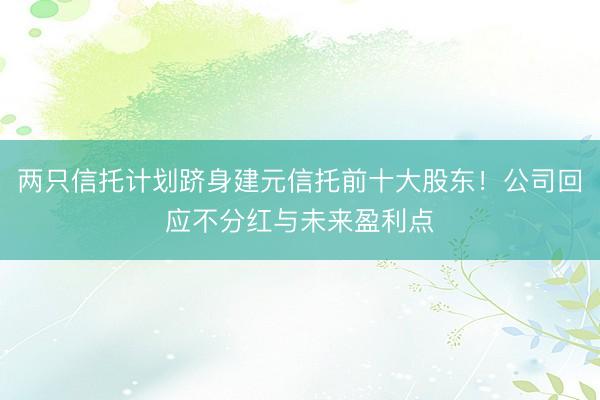 两只信托计划跻身建元信托前十大股东！公司回应不分红与未来盈利点