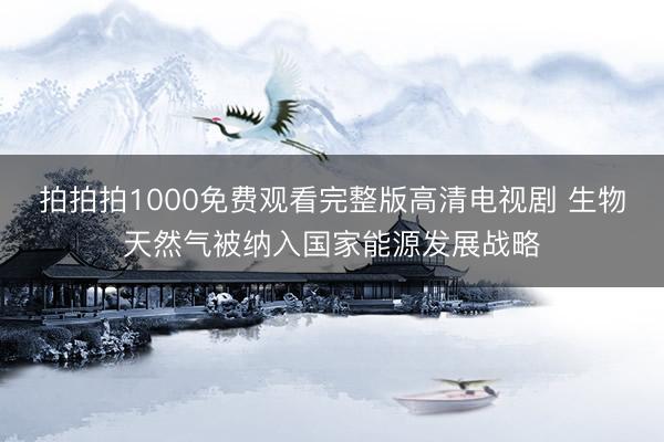 拍拍拍1000免费观看完整版高清电视剧 生物天然气被纳入国家能源发展战略