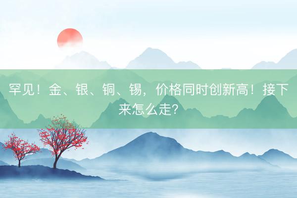 罕见！金、银、铜、锡，价格同时创新高！接下来怎么走？