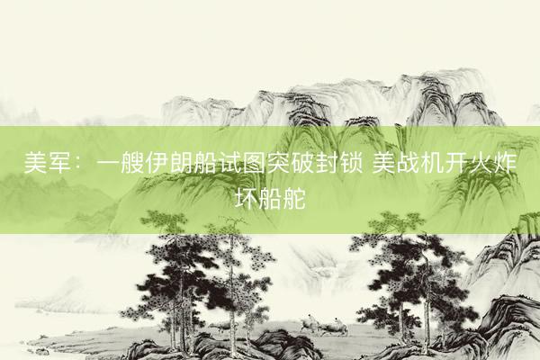 美军：一艘伊朗船试图突破封锁 美战机开火炸坏船舵