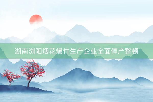 湖南浏阳烟花爆竹生产企业全面停产整顿