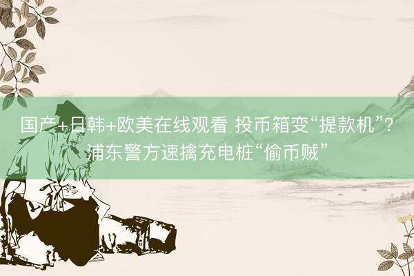 国产+日韩+欧美在线观看 投币箱变“提款机”？浦东警方速擒充电桩“偷币贼”