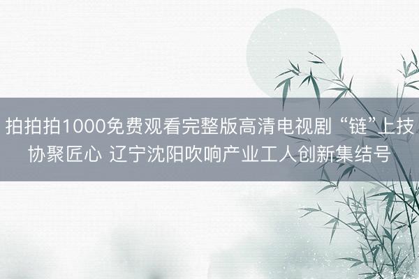 拍拍拍1000免费观看完整版高清电视剧 “链”上技协聚匠心 辽宁沈阳吹响产业工人创新集结号