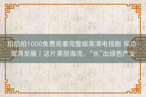 拍拍拍1000免费观看完整版高清电视剧 探访·海湾发展｜这片美丽海湾，“长”出绿色产业