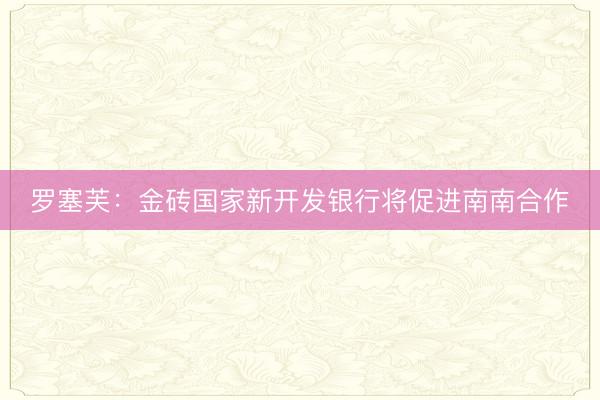 罗塞芙：金砖国家新开发银行将促进南南合作