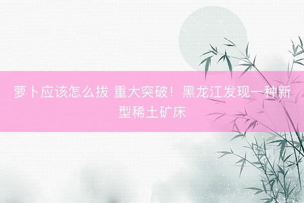 萝卜应该怎么拔 重大突破！黑龙江发现一种新型稀土矿床