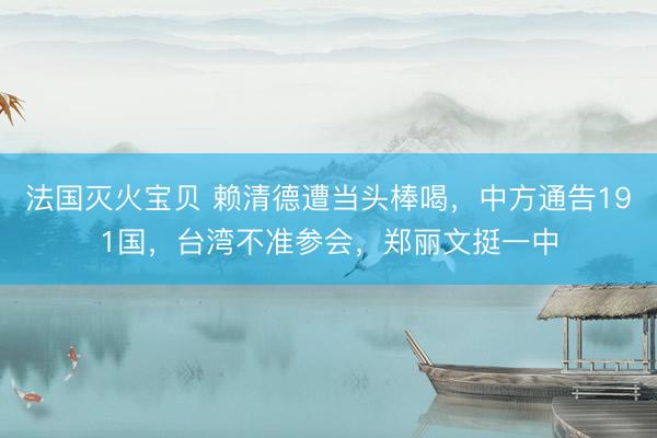 法国灭火宝贝 赖清德遭当头棒喝，中方通告191国，台湾不准参会，郑丽文挺一中
