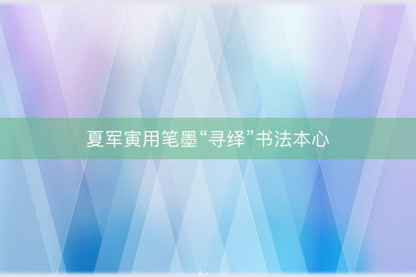 夏军寅用笔墨“寻绎”书法本心