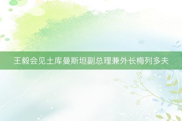 王毅会见土库曼斯坦副总理兼外长梅列多夫