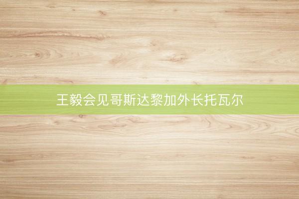 王毅会见哥斯达黎加外长托瓦尔