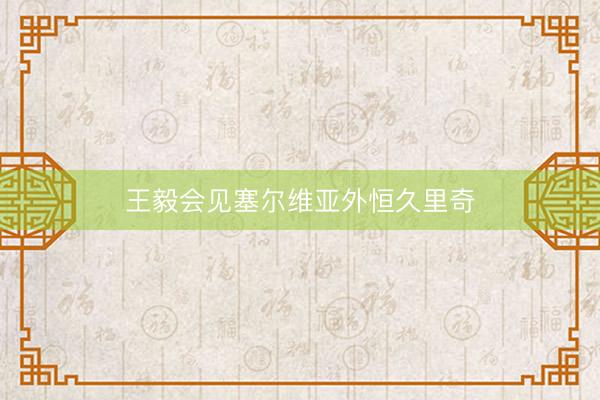 王毅会见塞尔维亚外恒久里奇