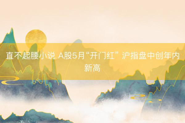 直不起腰小说 A股5月“开门红” 沪指盘中创年内新高