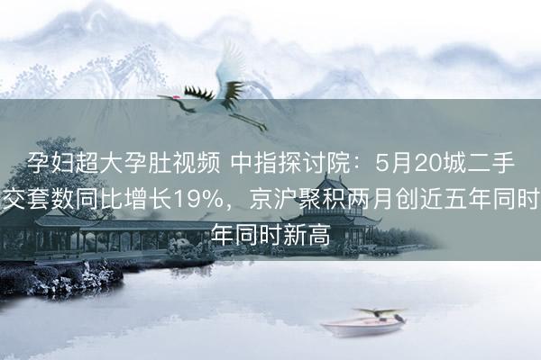 孕妇超大孕肚视频 中指探讨院：5月20城二手房成交套数同比增长19%，京沪聚积两月创近五年同时新高
