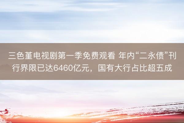 三色堇电视剧第一季免费观看 年内“二永债”刊行界限已达6460亿元，国有大行占比超五成