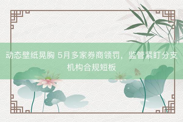 动态壁纸晃胸 5月多家券商领罚，监管紧盯分支机构合规短板