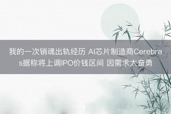 我的一次销魂出轨经历 AI芯片制造商Cerebras据称将上调IPO价钱区间 因需求太奋勇