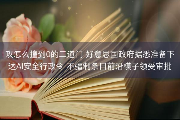 攻怎么撞到0的二道门 好意思国政府据悉准备下达AI安全行政令 不彊制条目前沿模子领受审批