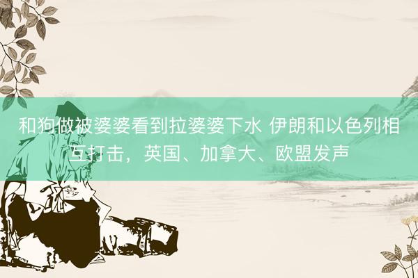 和狗做被婆婆看到拉婆婆下水 伊朗和以色列相互打击，英国、加拿大、欧盟发声