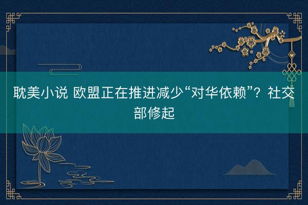 耽美小说 欧盟正在推进减少“对华依赖”？社交部修起