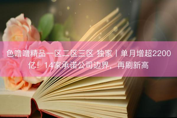 色噜噜精品一区二区三区 独家丨单月增超2200亿！14家承诺公司边界，再刷新高
