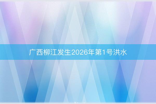 广西柳江发生2026年第1号洪水